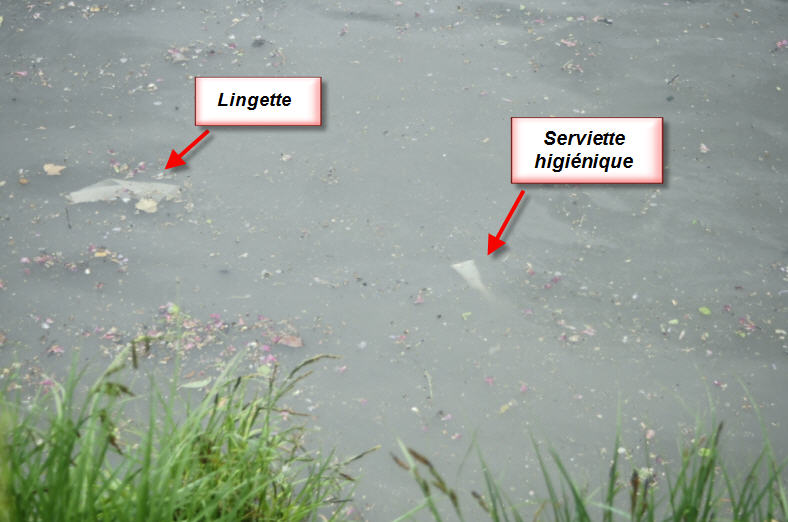 Lingettes et serviettes higièniques