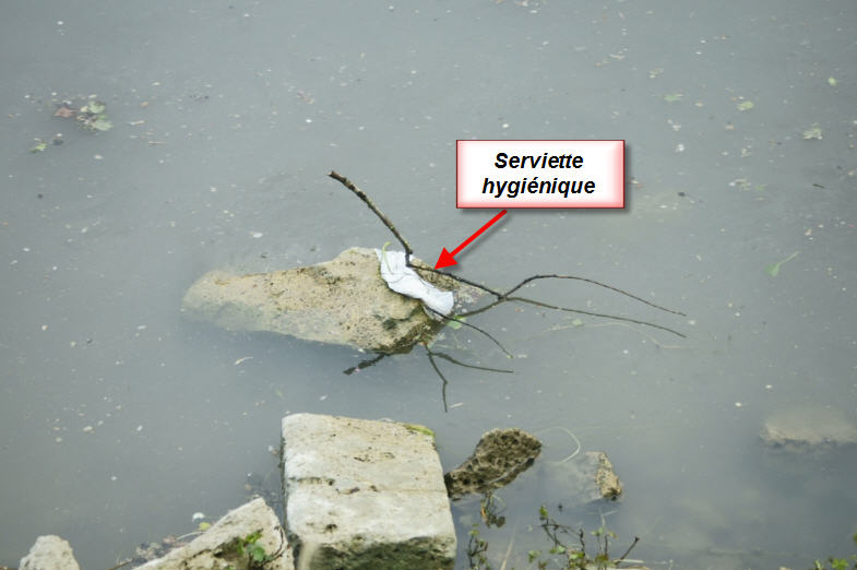 des serviettes hygièniques...