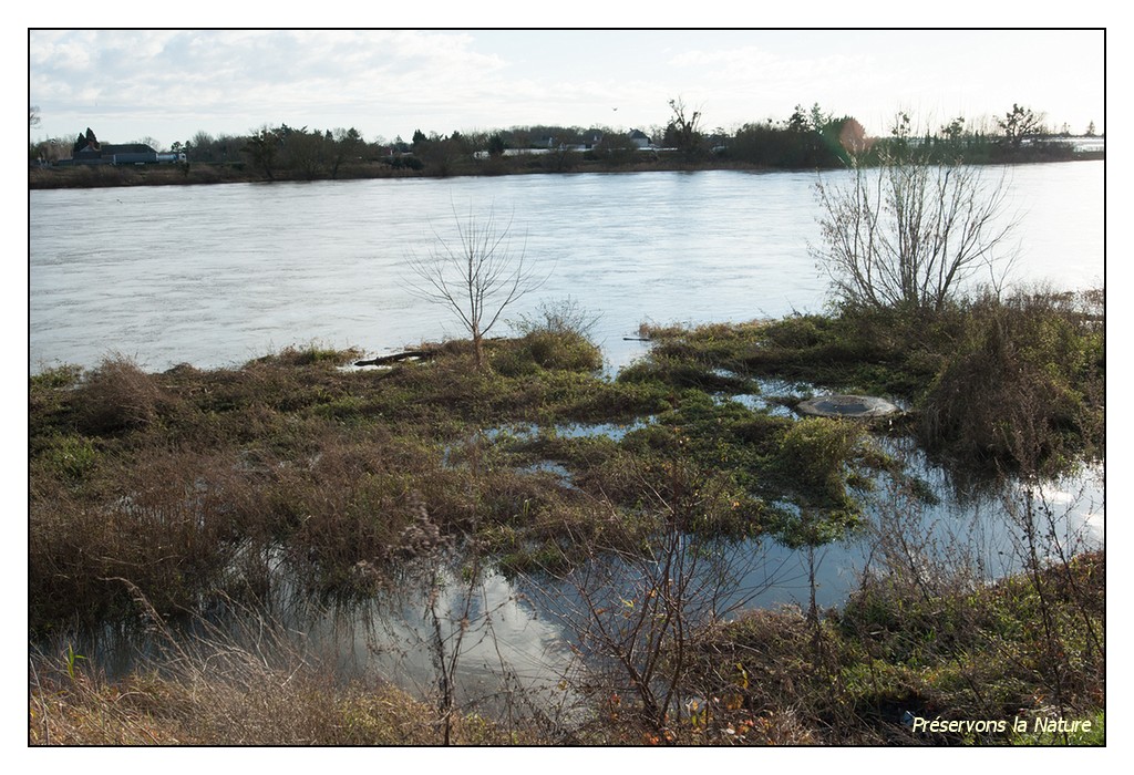 Conduite d'eaux usées sous le niveau de la Loire