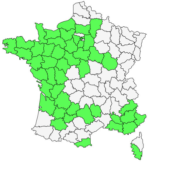 Répartition de Salvia verbenaca L. ( Sauge fausse-verveine )