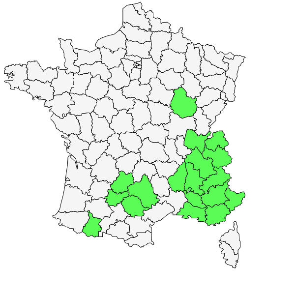 Répartition de Laserpitium gallicum L. ( Laser de France )