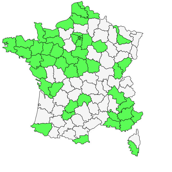 Répartition d'Erucastrum incanum (L.) W.D.J.Koch ( Roquette bâtarde )