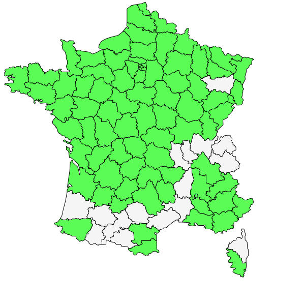 Répartition de Senecio vulgaris L. ( Séneçon commun )