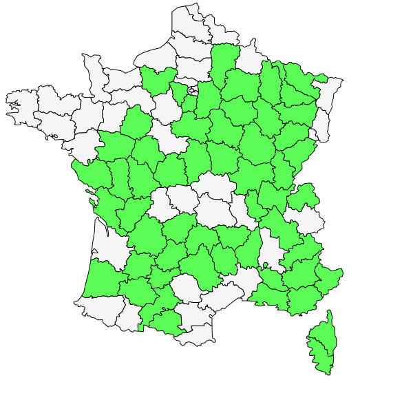 Répartition de Carex halleriana Asso ( Laiche de Haller )