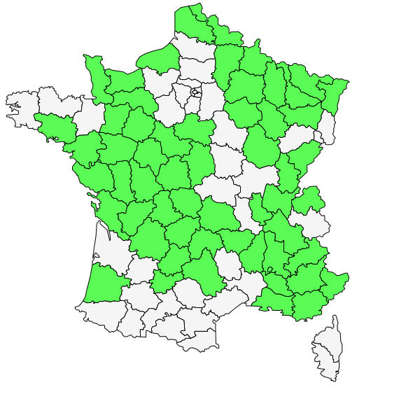 Répartition de Cirsium tuberosum (L.) All. ( Cirse bulbeux )