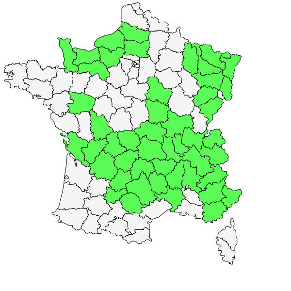 Répartition de Doronicum pardalianches L. ( Doronic à feuilles cordées )