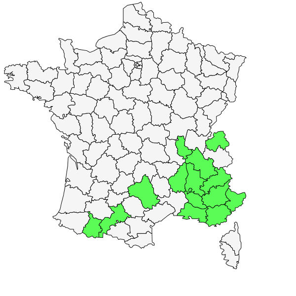 Répartition de Cirsium monspessulanum (L.) Hill ( Cirse de Montpellier  )