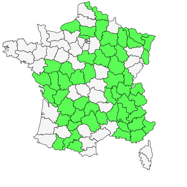 Répartition de Tanacetum corymbosum (L.) Sch.Bip.