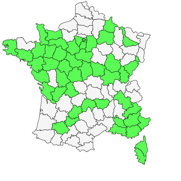 Répartition de Dittrichia graveolens (L.) Greuter ( Inule fétide )