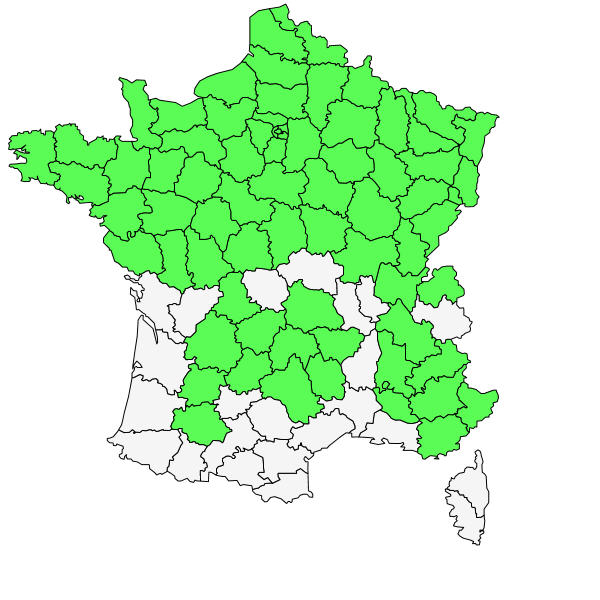 Répartition de Aegopodium podagraria L. ( Herbe aux goutteux )