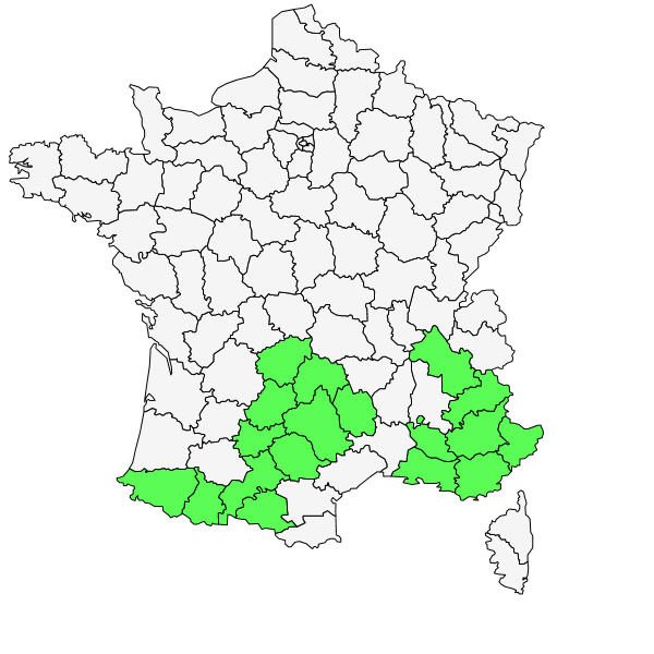 Répartition de Silene saxifraga L. ( Silene saxifrage )