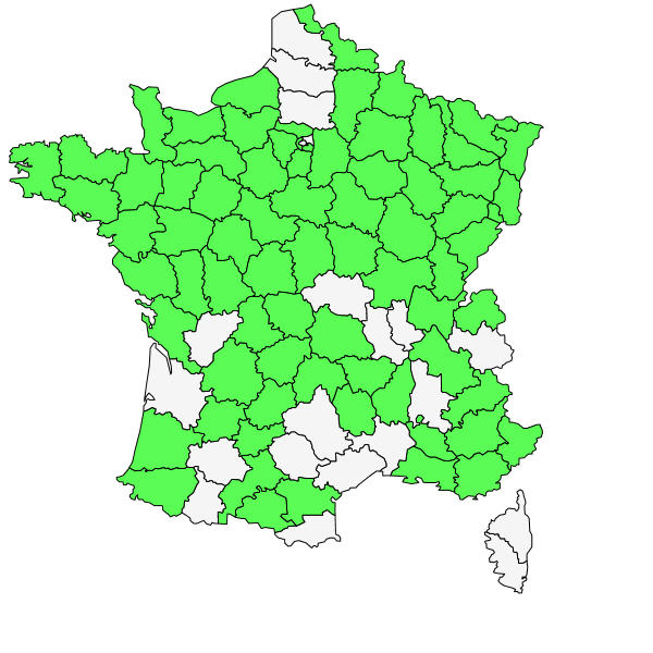 Répartition de Allium sphaerocephalon L. ( Ail à tête ronde )