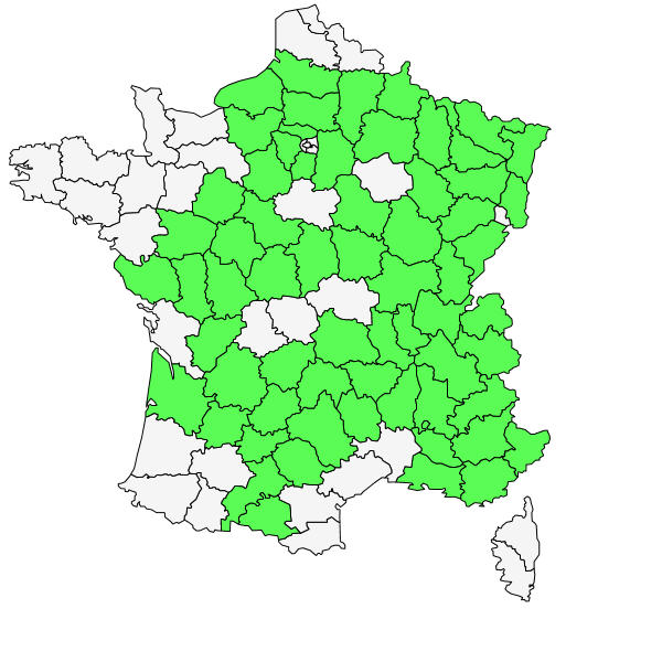 Répartition de Campanula persicifolia L. ( Campanule à feuilles de pêcher  )