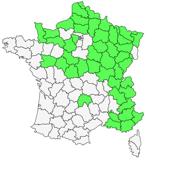 Répartition de Campanula rapunculoides L. ( Campanule fausse-raiponce )