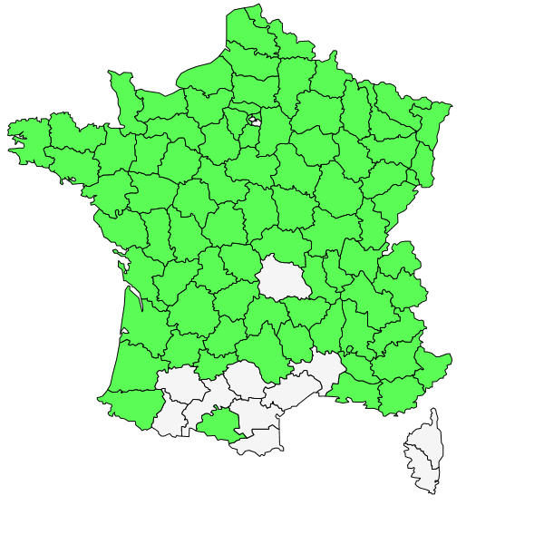 Répartition de Campanula trachelium L. ( Campanule gantelée )