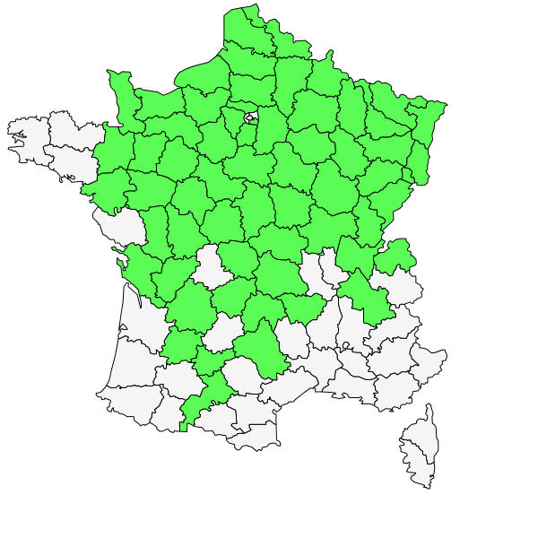 Répartition de Dipsacus pilosus L. ( Cardère velue )