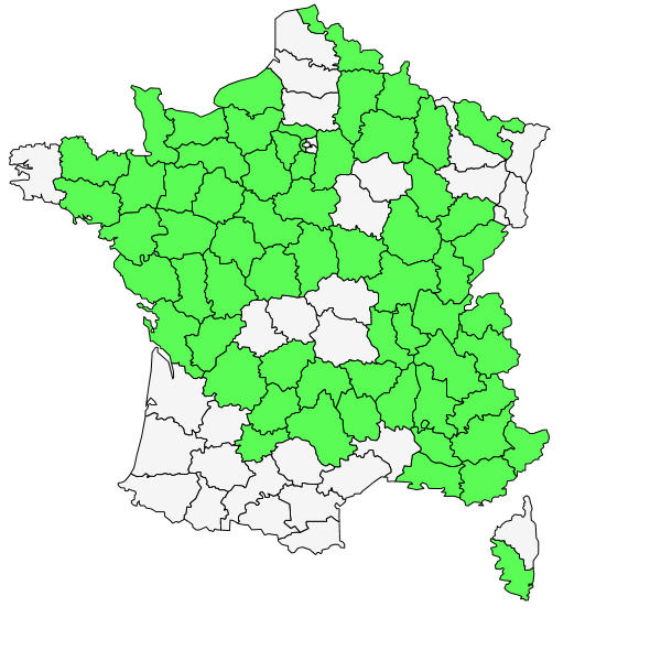 Répartition de Draba muralis L. ( Drave des murailles )