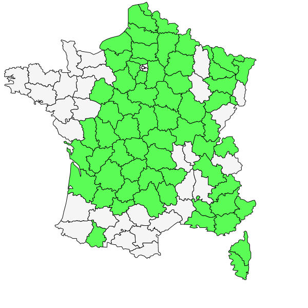 Répartition de Jasione montana L. ( Jasione des montagnes )