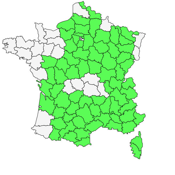 Répartition de Limodorum abortivum (L.) Sw. ( Limodore avorté )