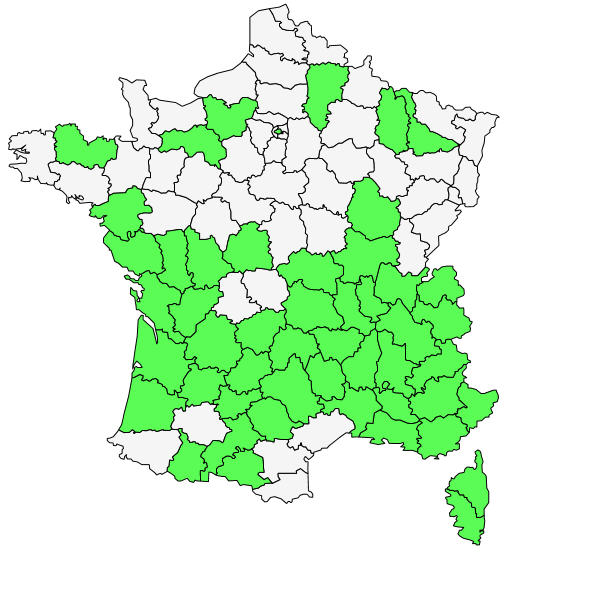 Répartition de Acer monspessulanum L. ( Érable de Montpellier )