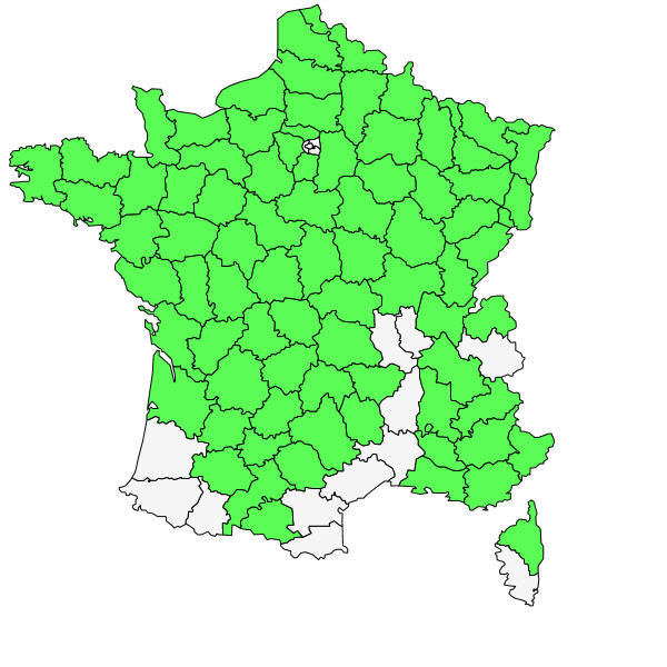 Répartition de Anacamptis morio (L.) R.M.Bateman, Pridgeon & M.W.Chase ( Orchis bouffon )