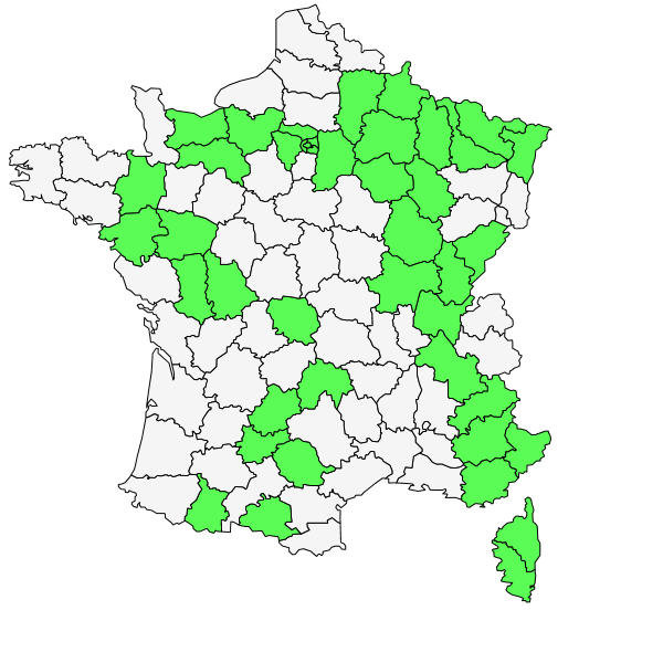 Répartition de Allium schoenoprasum L. ( Ciboulette )