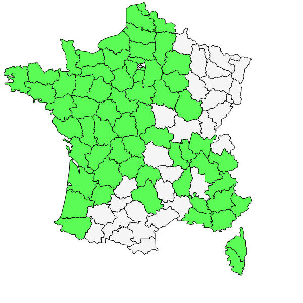 Répartition de Baldellia ranunculoides (L.) Parl. ( Baldellie fausse-renoncule  )