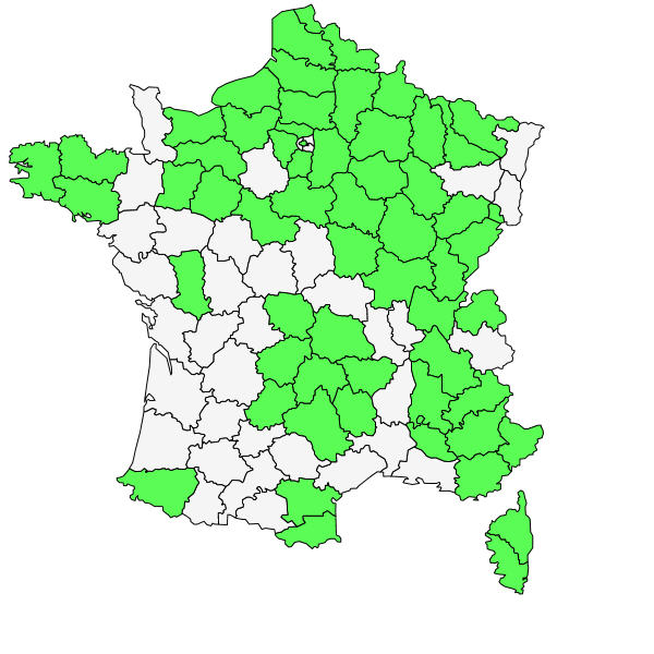 Répartition de Blitum bonus-henricus (L.) C.A.Mey. ( Chénopode du bon Henri )