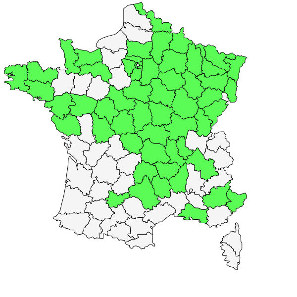 Répartition de Ulmus laevis Pall. ( Orme lisse )