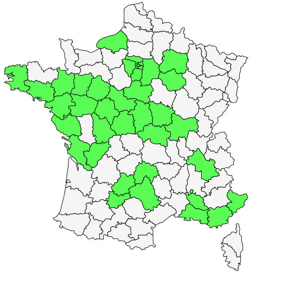 Répartition de Dysphania ambrosioides (L.) Mosyakin & Clemants ( Chénopode fausse-ambroisie )