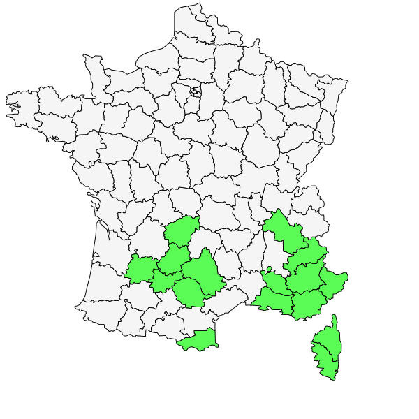 Répartition d'Aegilops geniculata Roth ( Aégilops à inflorescence ovale )