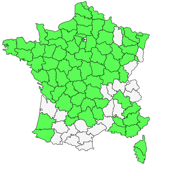 Répartition d'Aira caryophyllea L. ( Canche caryophyllée )