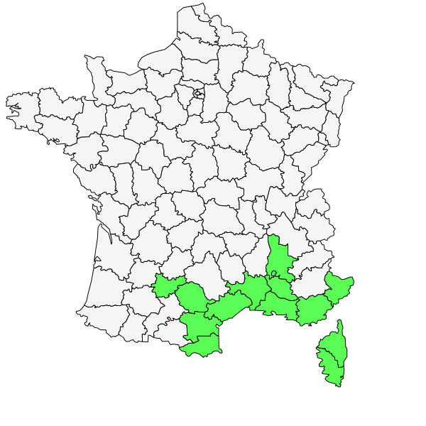 Répartition d'Anacamptis picta (Loisel) R.M.Bateman ( Orchis peint )