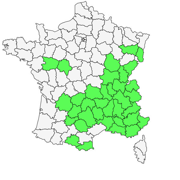 Répartition d'Pseudoturritis turrita (L.) Al-Shehbaz ( Arabette tourette )