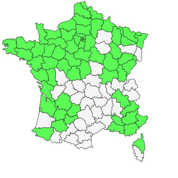 Répartition de Brassica nigra (L.) W.D.J.Koch ( Moutarde noire )