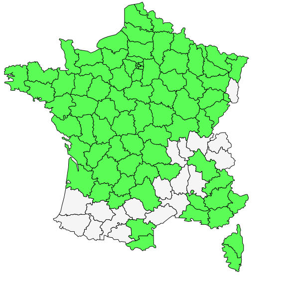 Répartition de Cichorium intybus L. ( Chicorée sauvage )