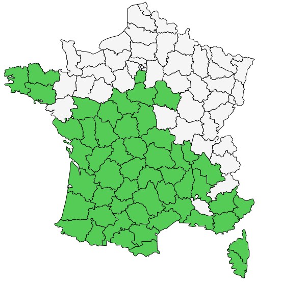 Répartition de Serapias lingua L. ( Serapias langue )