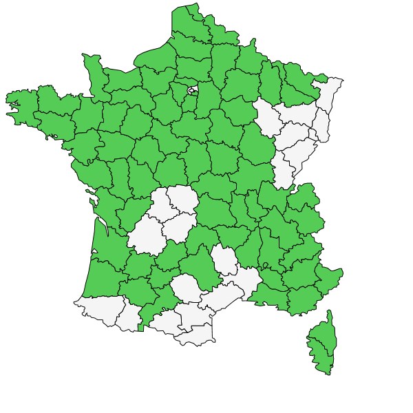 Répartition de Bolboschoenus maritimus (L.) Palla ( Rouche )