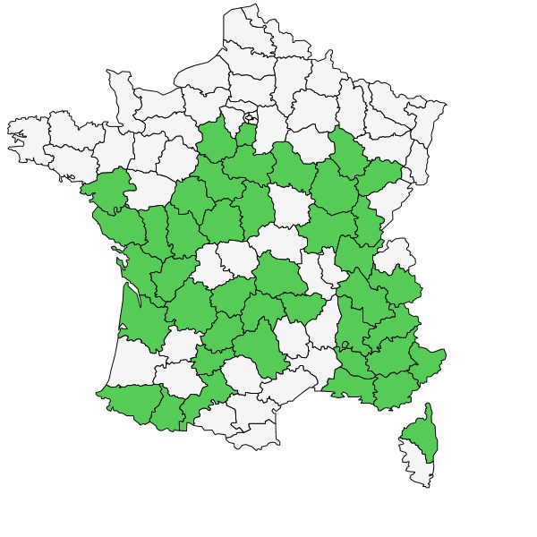 Répartition de Bupleurum baldense Turra ( Buplèvre du Mont Baldo )