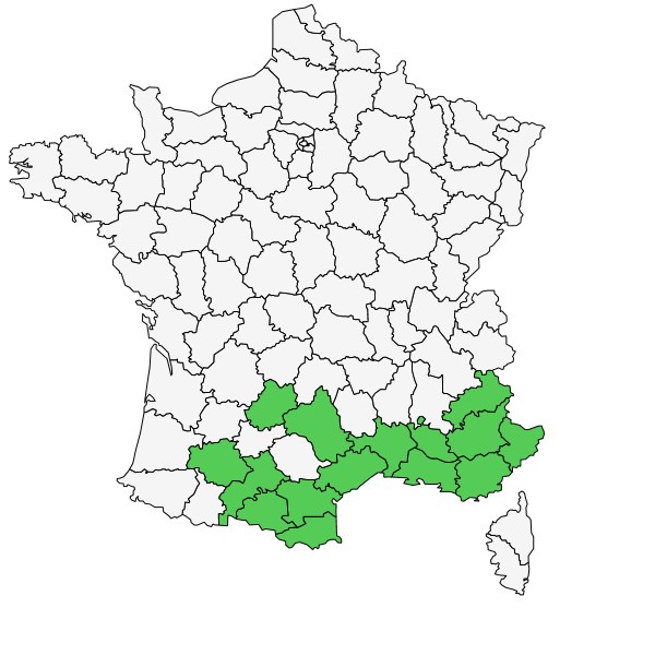 Répartition de Linum narbonense L. ( Lin de Narbonne )