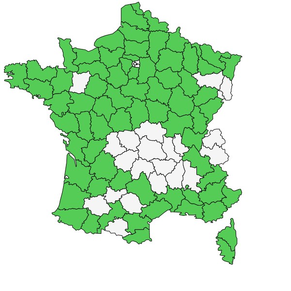 Répartition de Cladium mariscus (L.) Pohl ( Marisque )