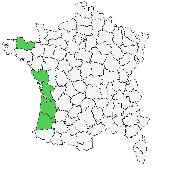 Répartition de Epipactis phyllanthes G.E.Sm. ( Epipactis des dunes  )