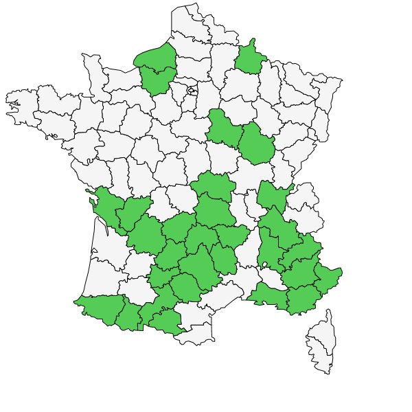 Répartition de Biscutella laevigata L. ( Lunetière )