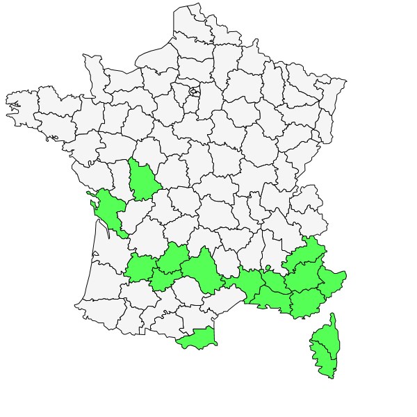 Répartition d'Aristolochia rotunda L. ( Aristoloche ronde )