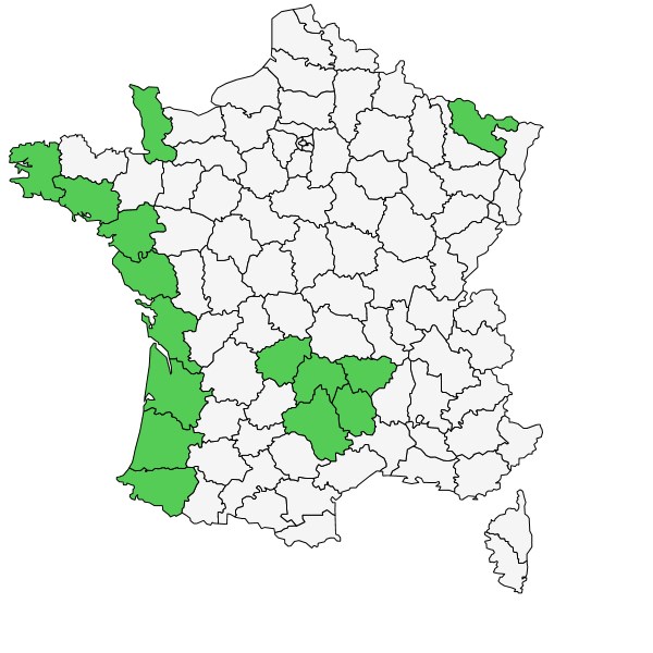 Répartition de Dianthus gallicus Pers. ( Oeillet de France  )