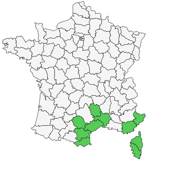 Répartition d'Isoetes duriei Bory ( Isoète de Durieu  )