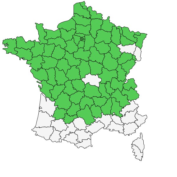 Répartition d'Hypericum humifusum L. ( Millepertuis couché )