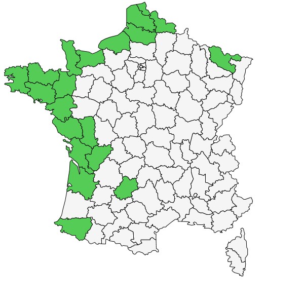 Répartition de Armeria maritima Willd. ( Armérie des dunes )